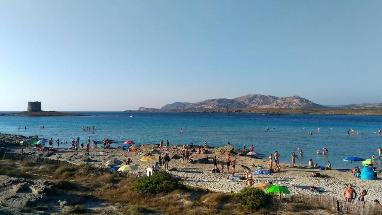 B&B Il Gatto Pescatore Stintino Εξωτερικό φωτογραφία